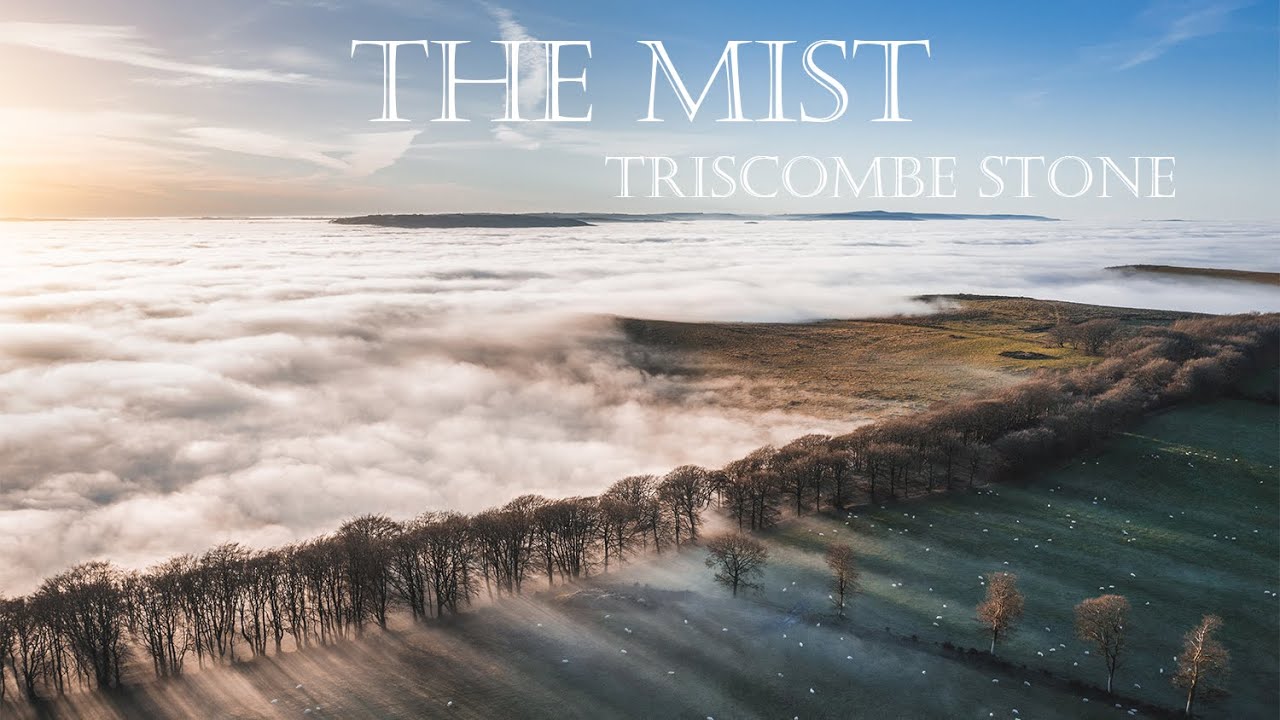 THE MIST - QUANTOCK HILLS