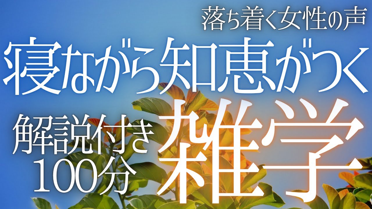 【睡眠導入】【途中広告なし】熟睡したい方に💤 すぐに入眠 寝ながら知恵がつく 大人の睡眠学習 解説付き 雑学 睡眠用BGM 聞き流し ai 【落ち着く女性の声・合成音声】