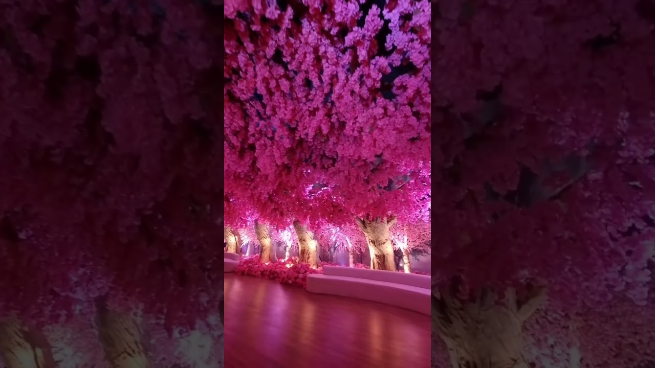 Fresh flower installation for a Malaysian wedding pelamin using orchids and heat tolerant blooms