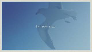 Taylor Swift - Say Don't Go (Revamped)