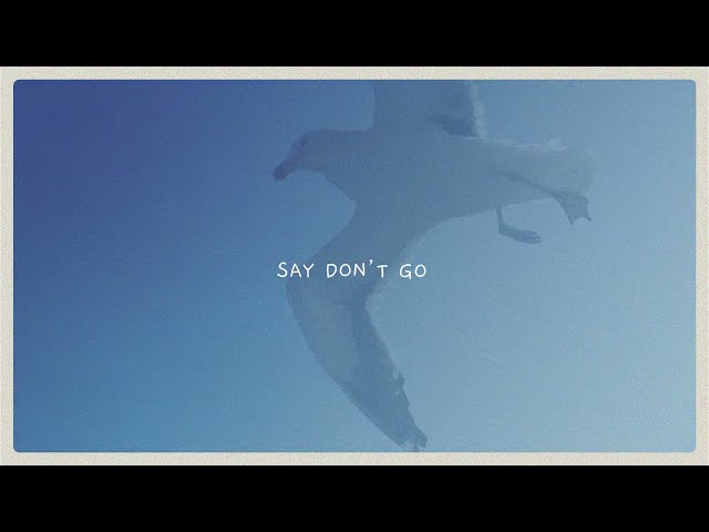 Taylor Swift - Say Don't Go (Revamped) class=