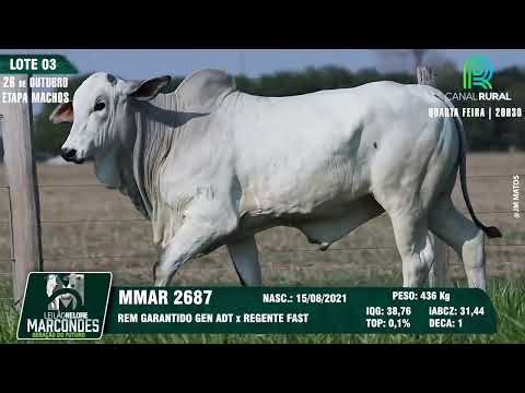 LOTE 03 MMAR 2687