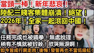 當頭一棒！新年悲哀！陸配三賤客集體崩潰！絕望！2026！全家一起滾回中國！任務完成也被鐵拳！無處說理！稍有不慎就被封殺！欲哭無淚啊！如今皆成行屍走肉！後悔！發誓再也不當低級紅了！
