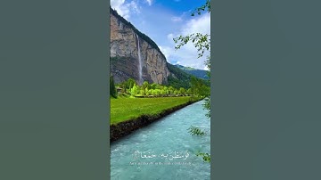 سورة العاديات القارئ #عبدالرحمن_مسعد #هدوء #راحة_نفسية #اكسبلور #المصحف #quran #لايك