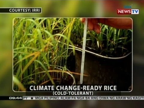 SONA: Bill Gates at pamilya, nasa Amanpulo Resort daw sa Palawan