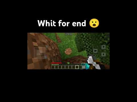 Minecraft chicken moment