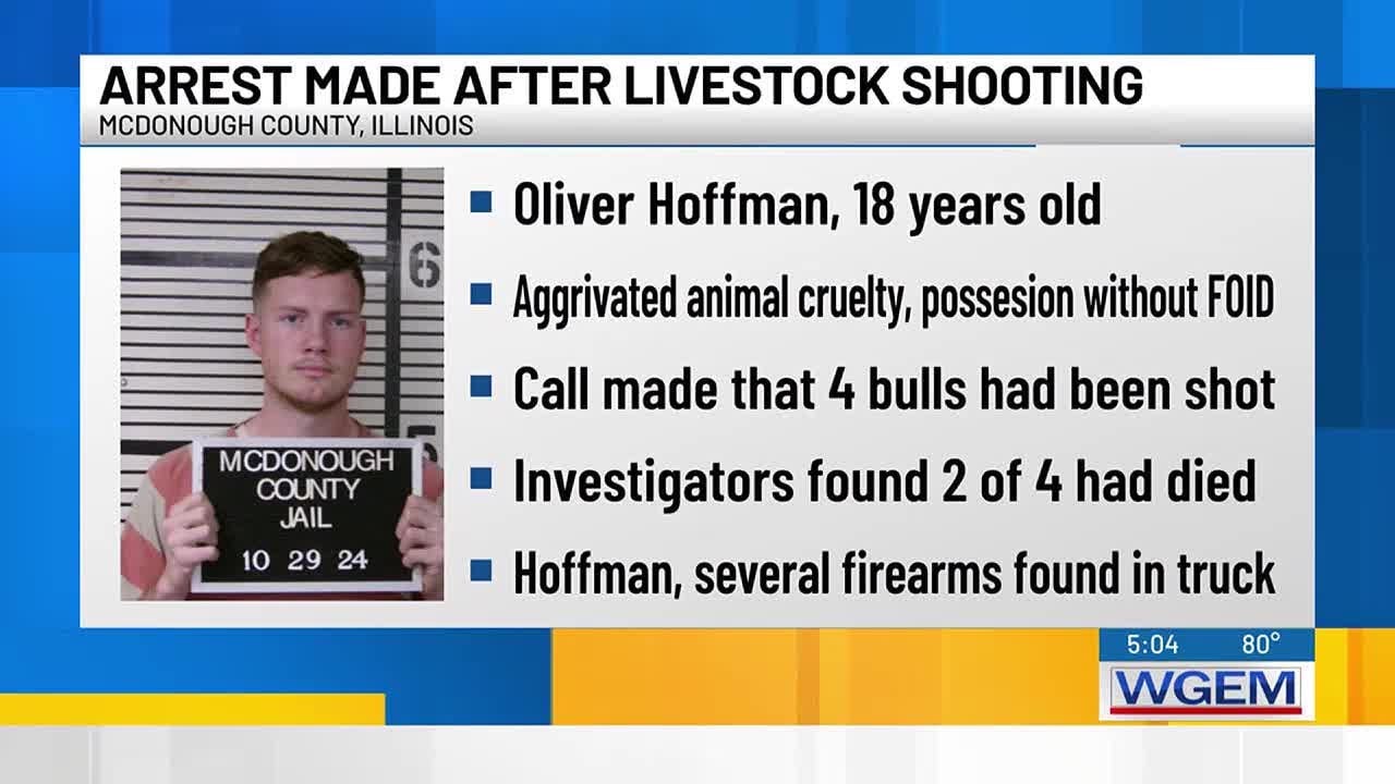 McDonough teen arrested after shooting livestock, involved in road rage ...
