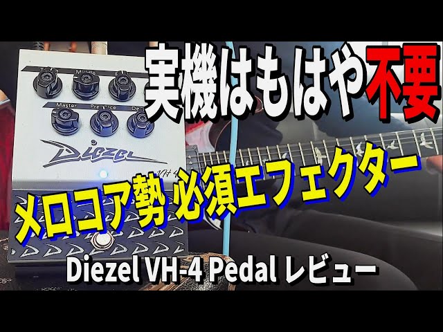 美術品・アンティーク・コレクション 池田道夫 白桃 油彩 10号 共