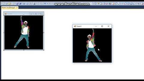 HOW TO INSERT GIF IMAGES ON VISUAL BASIC 2010