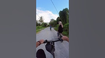 KAYUH WITH INSTA 360 Go 2