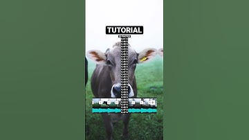 Video Transition Tutorial for the Wednesday Trend Song (CapCut) 🚀