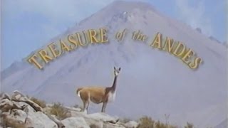 Treasure of the Andes (1993)