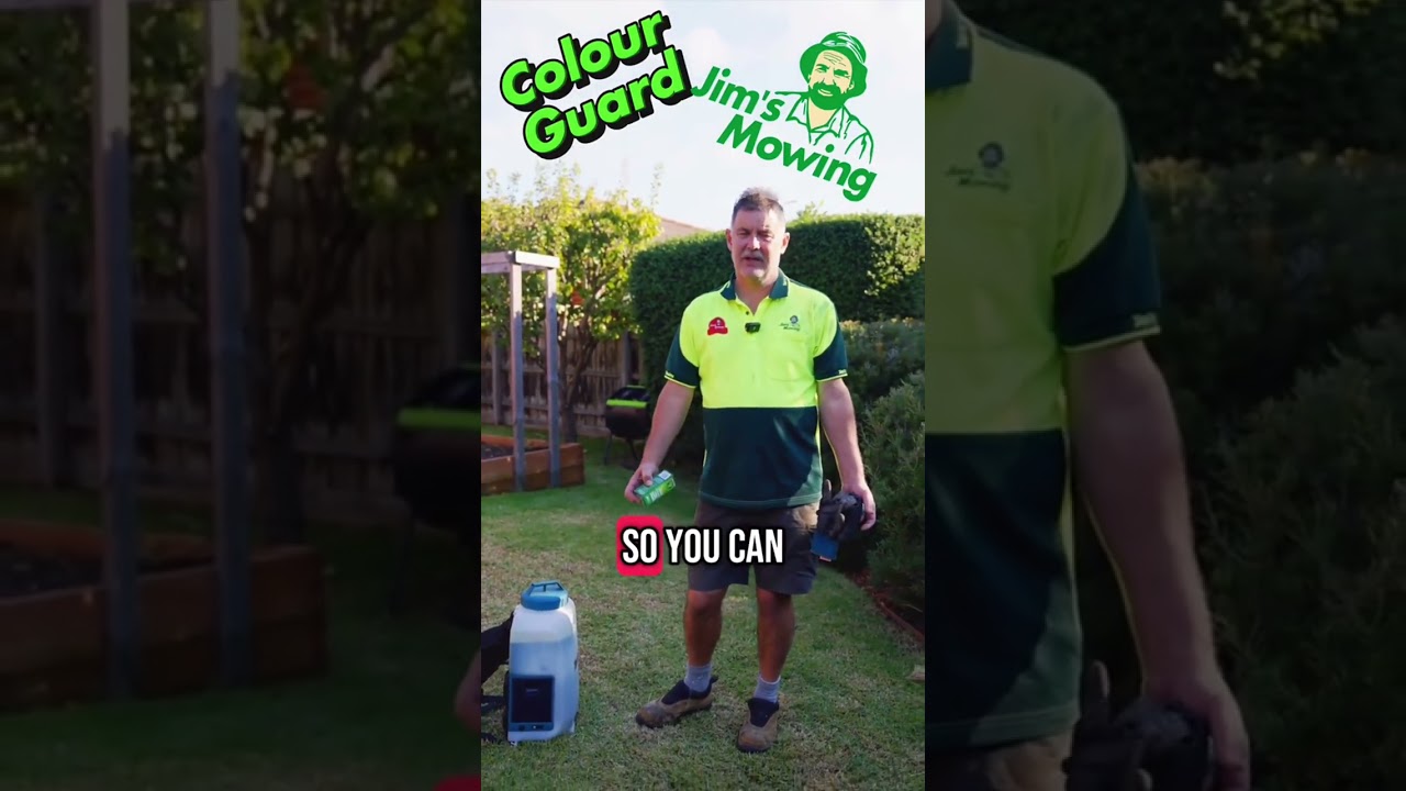 Why use colour guard? #lawncare #jimsmowing #jimsgroup #colourguard #lawntok #lawn