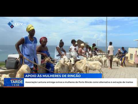 Associação Lantuna entrega ovinos a mulheres de Porto Rincão como alternativa à extração de inertes