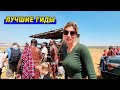 Лучшие гиды в отеле Sala’s Camp Masai Mara Kenya / Национальный парк заповедник в Кении Масаи Мара