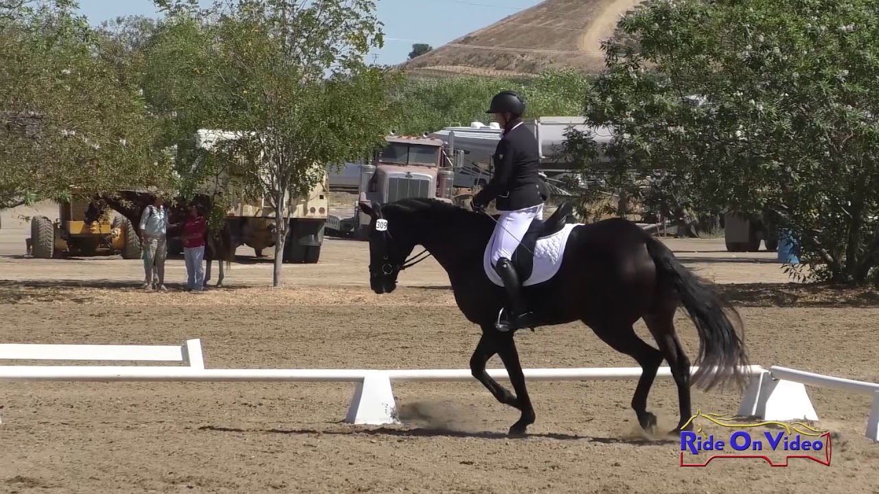 horseshoe bend 309D Olga Londa on Supah Heat Open Beginner Novice Dressage Twin Rivers Ranch Sept. 2019
