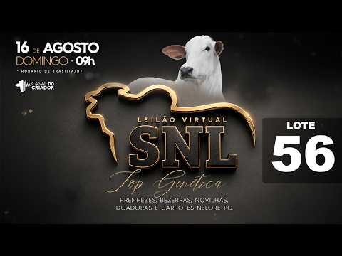 LOTE 56   SNL 2931
