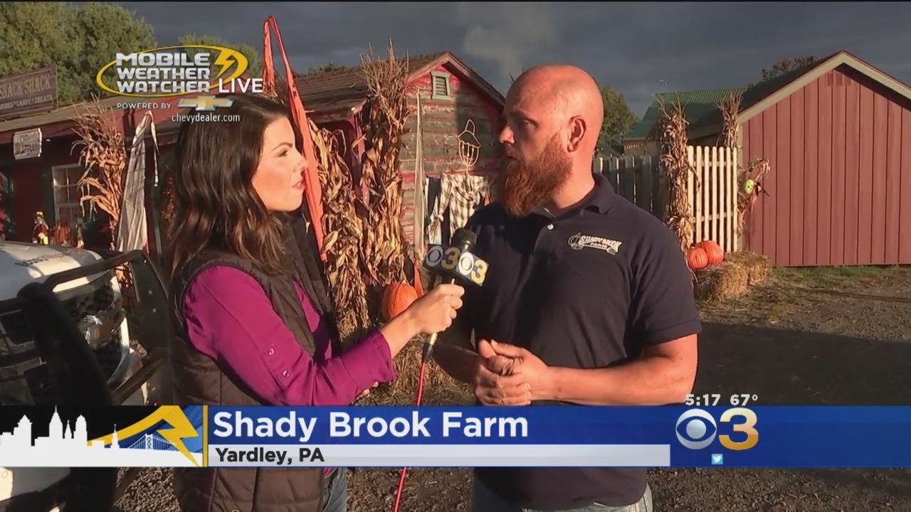 Celebrating Fall: PumpkinFest At Shady Brook Farm