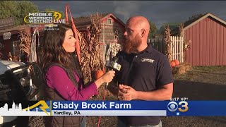 Celebrating Fall: PumpkinFest At Shady Brook Farm