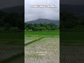 FILIPINO PROVINCE FARM LIFE #farm