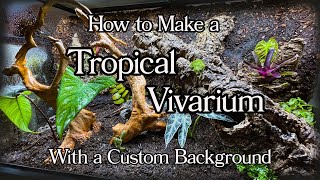 How to make a DIY Tropical Vivarium with a Custom Background