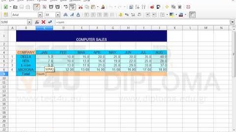 Enter a function in cell C9 of the SALES worksheet to return the sum of the cell range C5:C8.