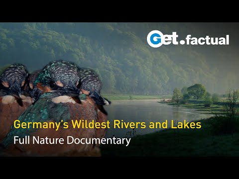 Wild Germany: Rivers and Lakes