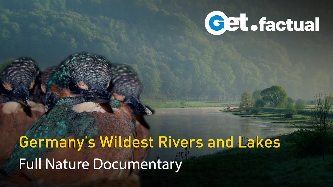 Wild Germany Rivers and Lakes Nature Documentary Final Episode