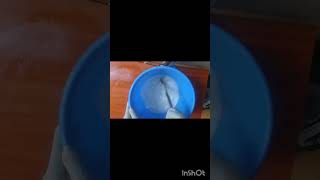 Let's Make Lye Solution for Bulk Soap Making. #barsoap #soapmaking