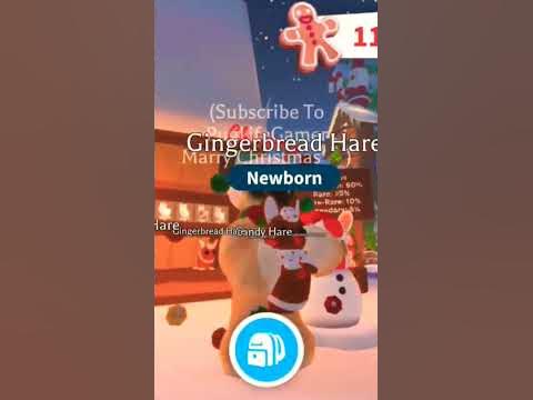 NEW GINGERBREAD HARE PET IN ADOPT ME #adoptme #roblox #shorts #foryou #