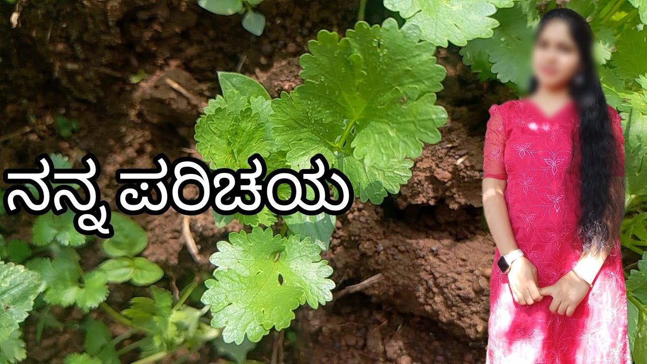 ನನ್ನ ಮೊದಲನೆಯ vlog/ village life 🌾 