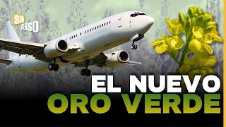 🌿GREEN GOLD: The Argentine crop that will make airplanes fly. ✈️