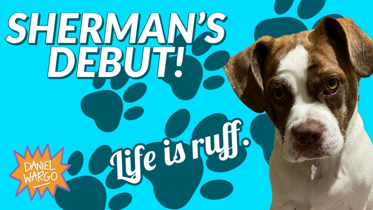 Meet My Dog Sherman! | The Daniel Wargo Project [S1:E1]