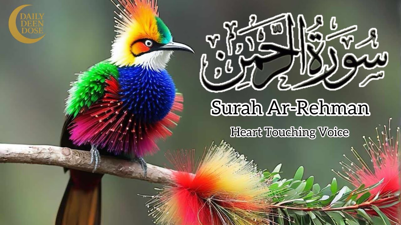 Surah Al-Rahman | The Most Beautiful Reminder of Allah’s Mercy 🤍 | Heart-Touching Recitation