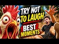 Impossible Try Not To Laugh | Best Chicken Screams Compilation