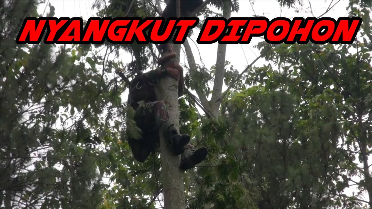 TARUNA AKMIL LATIHAN TERJUN PAYUNG. ADA YANG NYANGKUT DI POHON...