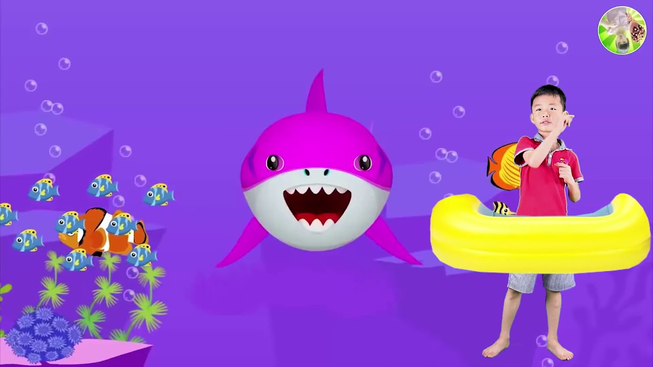 Baby Shark | Kids - YouTube
