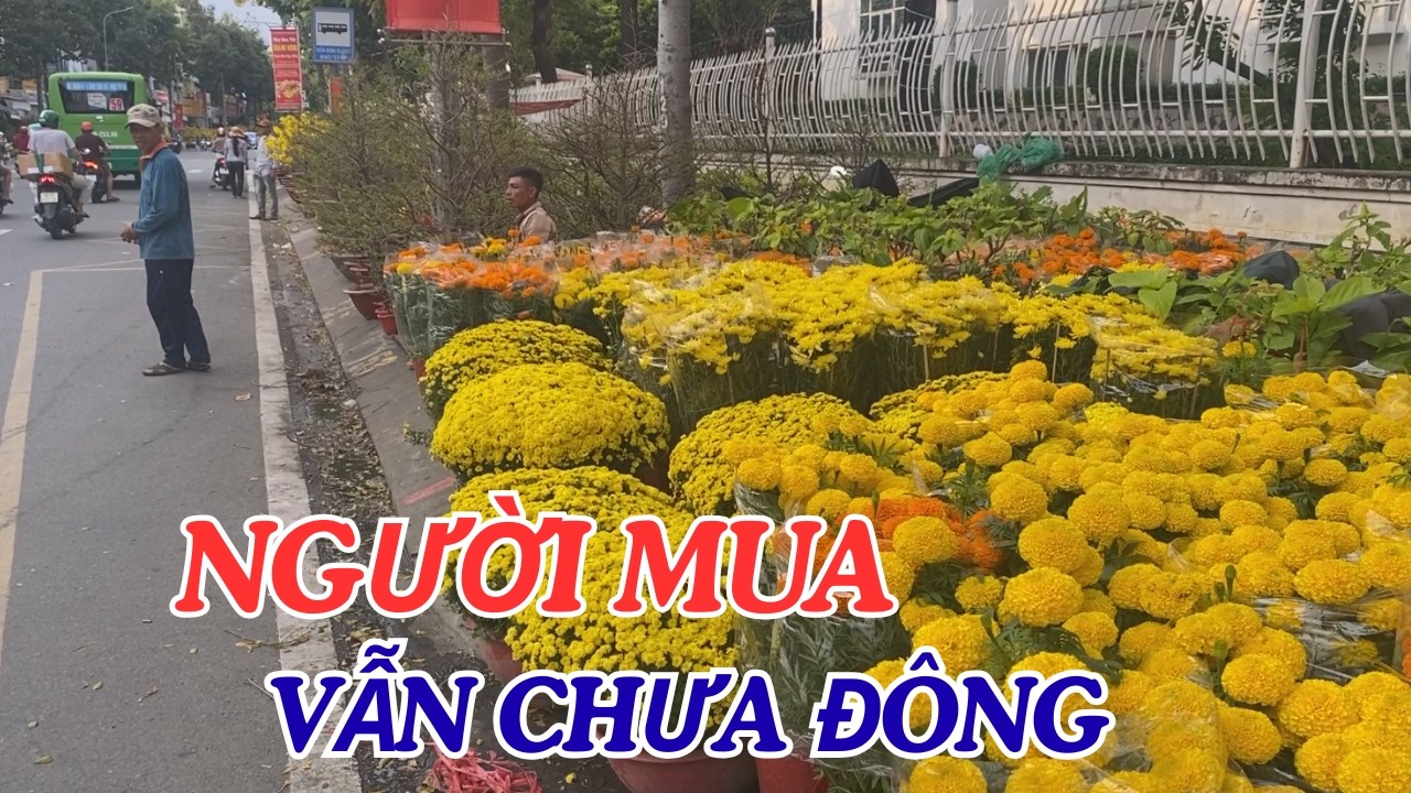 NGÀY 26 THÁNG CHẠP, TÌNH HÌNH MUA BÁN BÔNG TẠI TẠ QUANG BỬU VẪN CHƯA ĐÔNG ĐÚC
