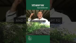 Moving your compost could be a BIG MISTAKE | Hans_Gűnther Kern #compostsoil