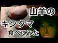 山羊のキンタマ食べてみた！【ゲテモノ】【珍獣屋】【キンタマ】