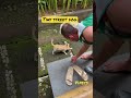 Shy dog was asking for food and couldn’t reach his food 🥲|VIPets #streetanimals #streetdog