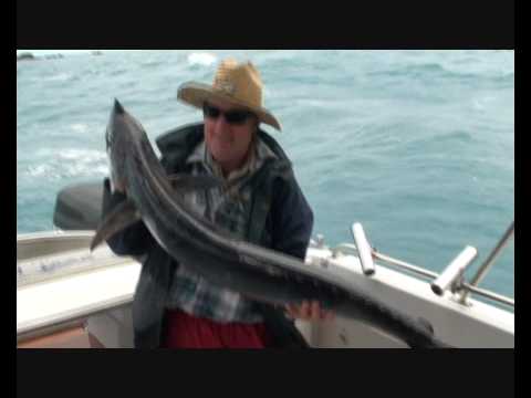 Spanish Mackerel Shootout 2008 Mackay with Reefari