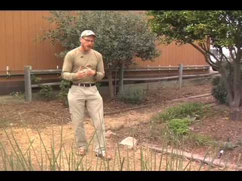 Brad Lancaster at Santa Barbara City College Lifescape Garden Part 1