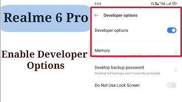 How To Enable Developer Options In Realme 6 Pro