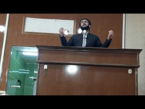ملا علي زانست و زانیاری العلم له ئیسلامدا