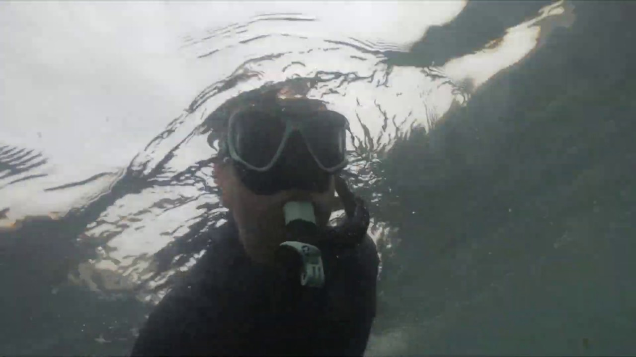 DIVING IN BIG SUR GOPRO YouTube