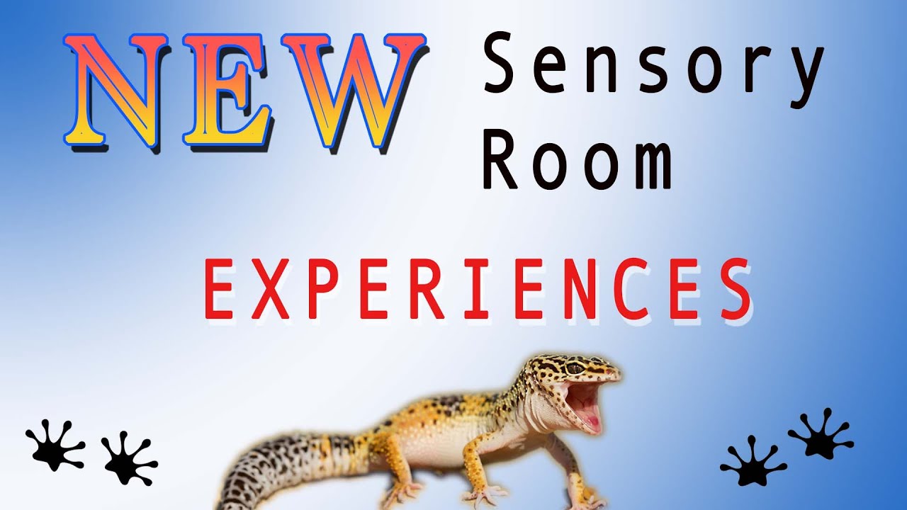 Lizard Sensory New Sensory Room Lizard - YouTube