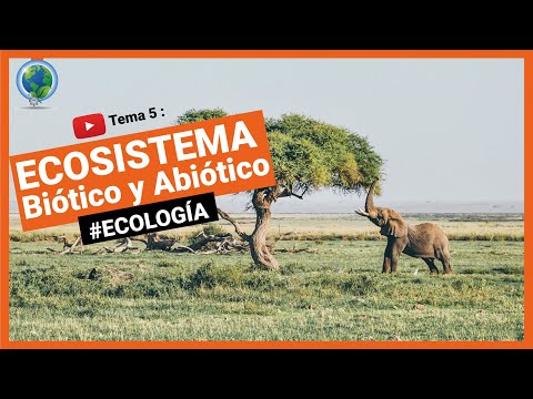 QUE ES UN ECOSISTEMA -  BIOCENOSIS Y BIOTOPO