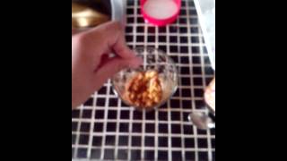 Sky... And Aaaaaaaaiaaai Wil Always Hate Yooooouuu