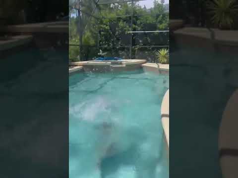 COMEDY - Tanyalee Davis -Pool Antics